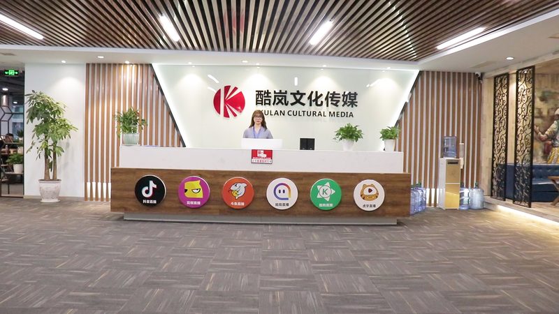 D动画宣传片制作合同：注意事项与风险规避